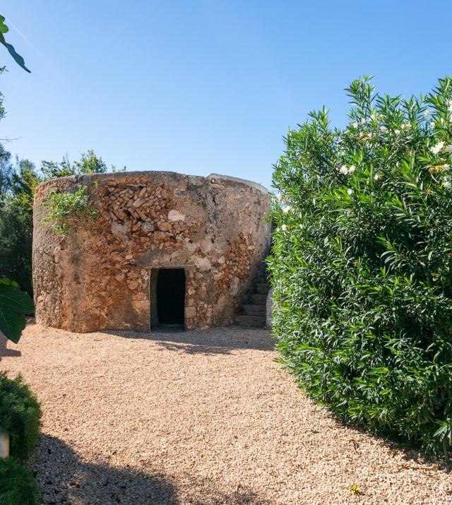 Resa Estates finca sale koop ibiza Jorge exterior garden.jpg